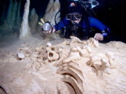 Giant sloth bones in kolimba cave by Becky Kagan 
